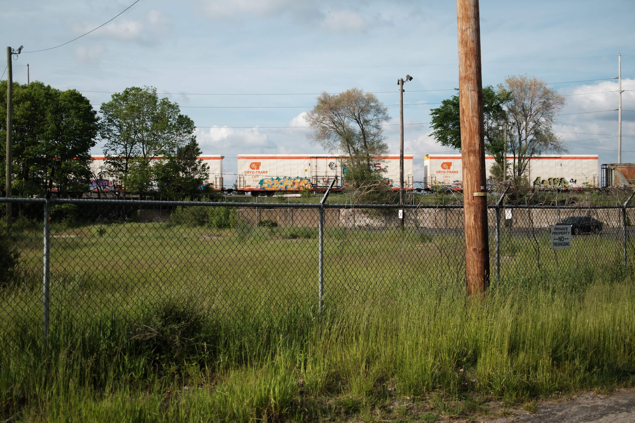 To Love What Is Plentiful