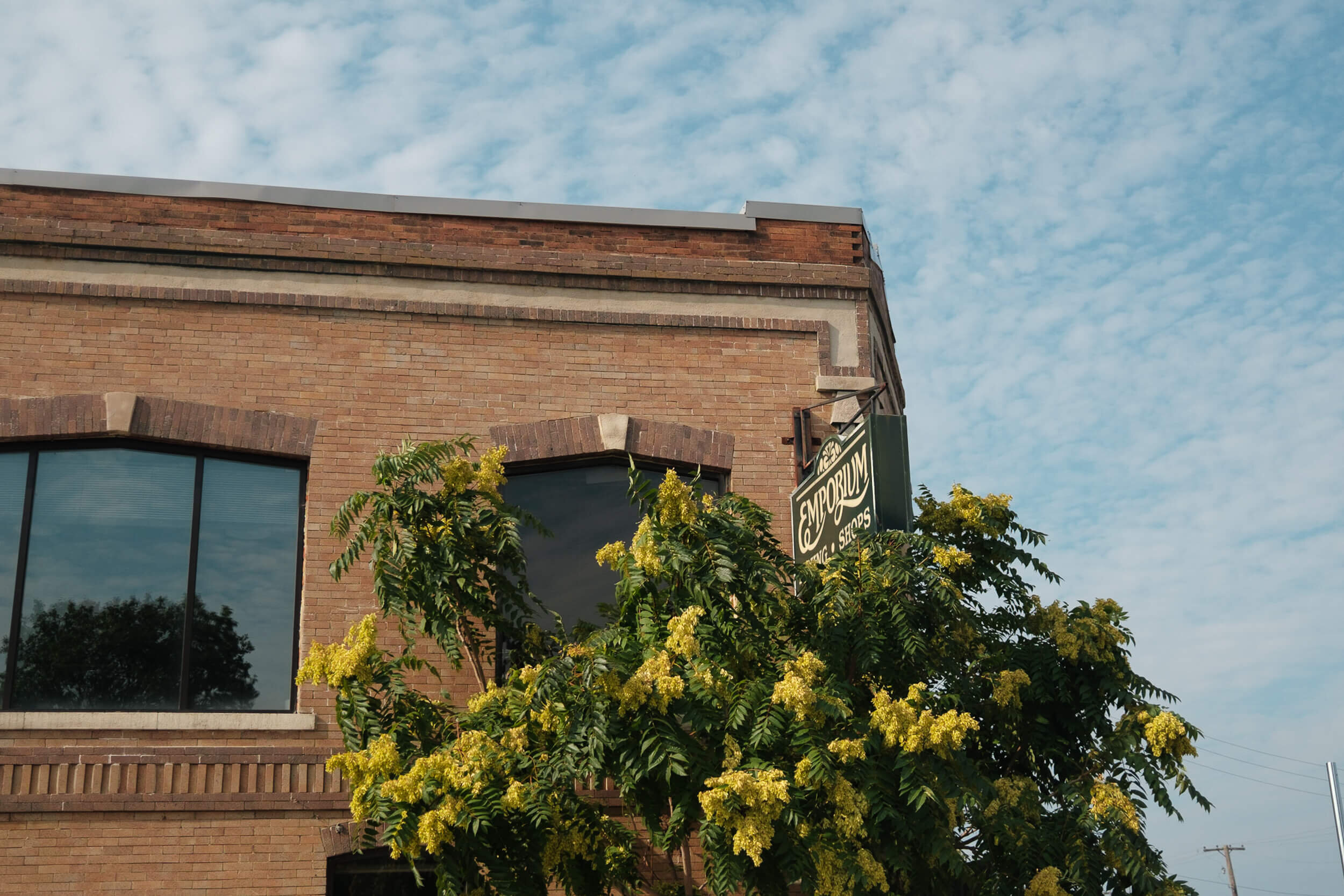 Between Little Girl Blossom and a Grown Woman’s Bloom