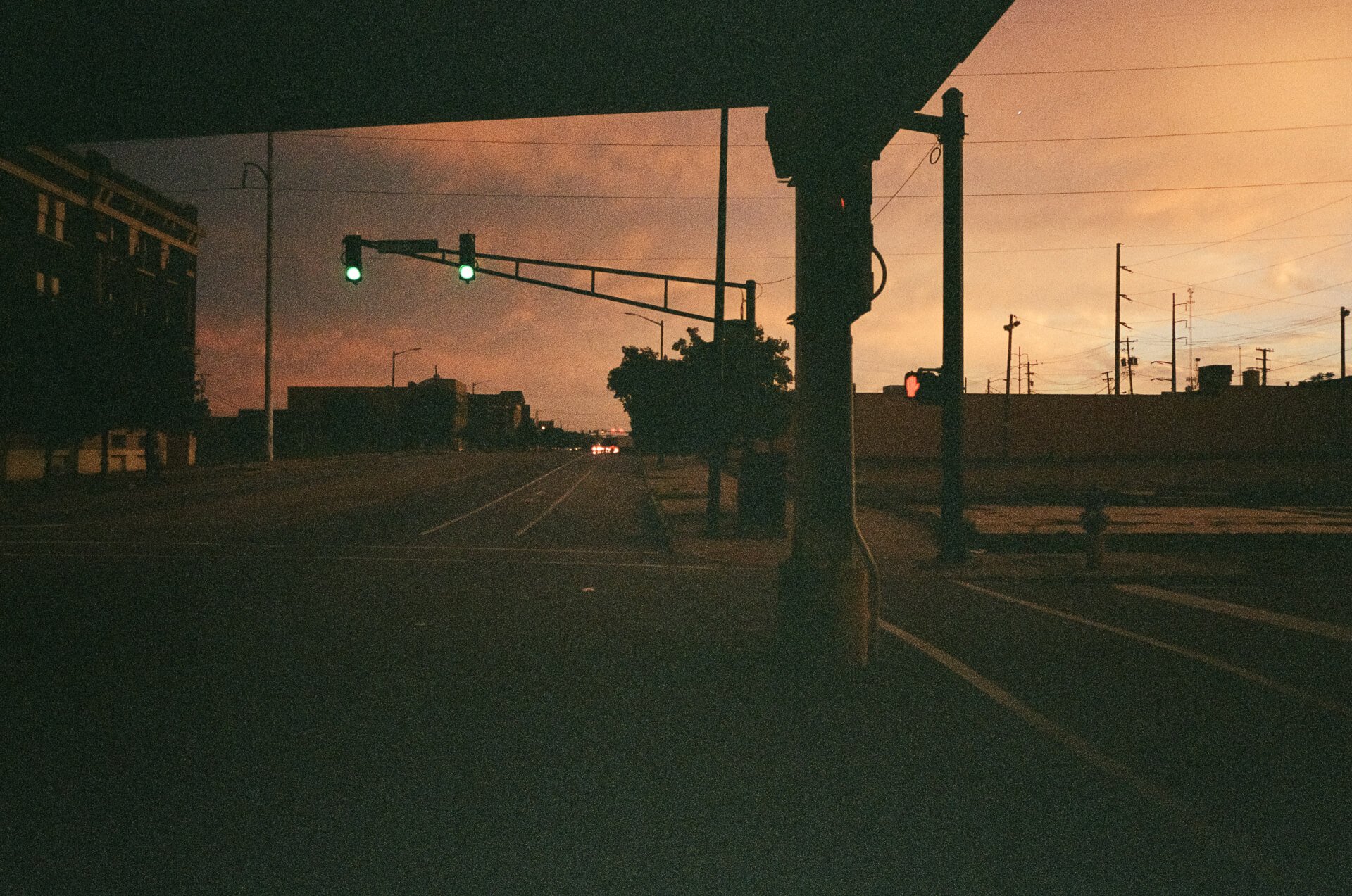 Friday Night In Bloom