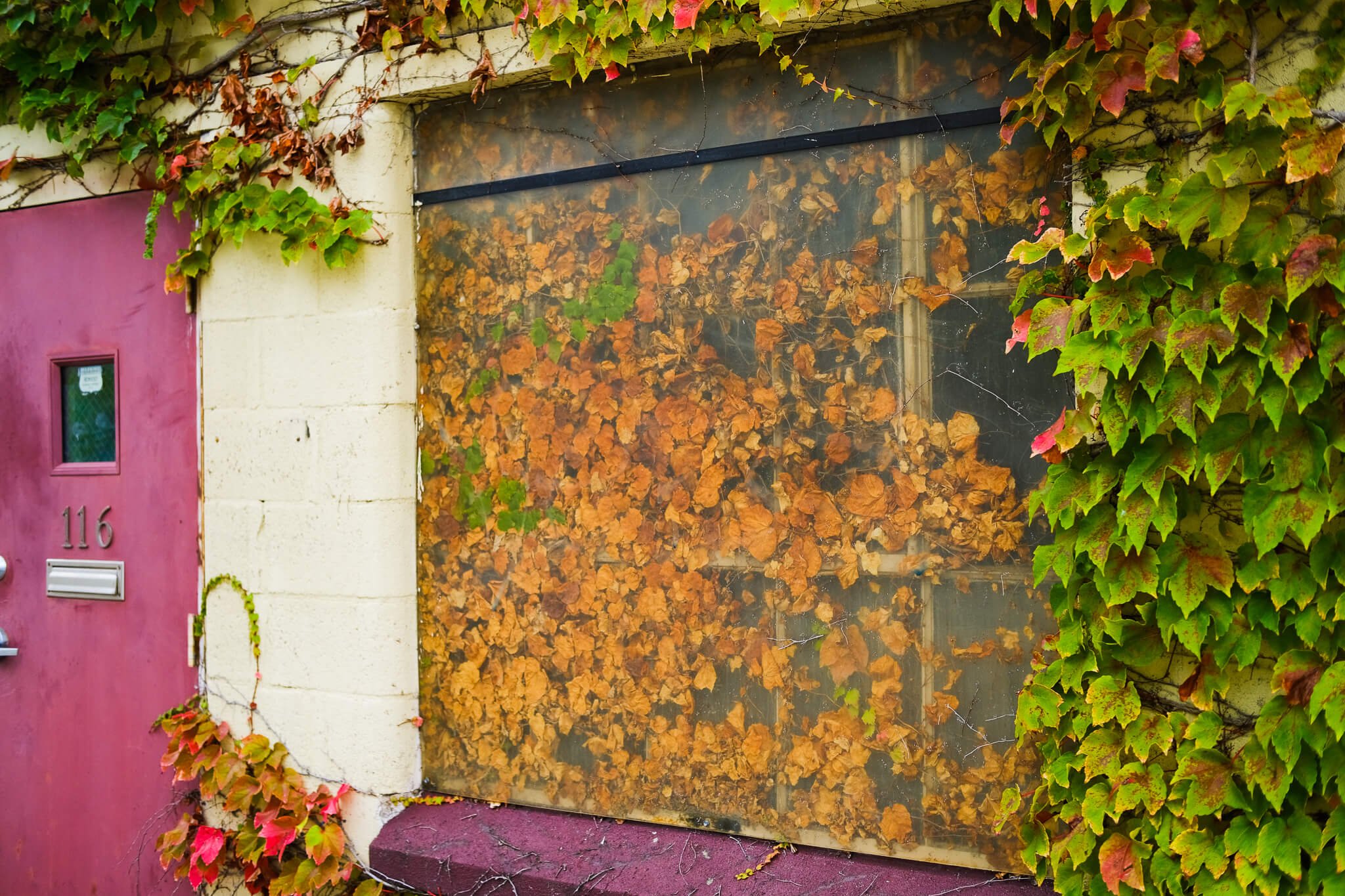 A Post-Industrial Autumn